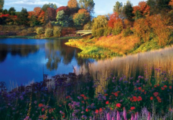 Fresh, Bright and Full of Warm Moments